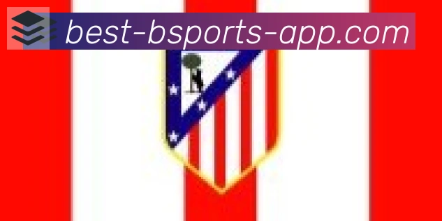 bsports体育合作伙伴
